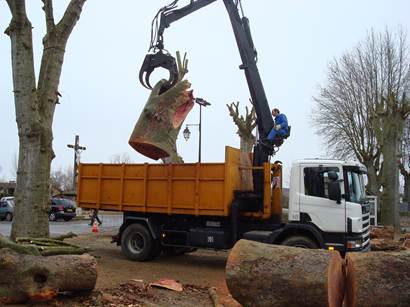 Camion polybenne grappin.